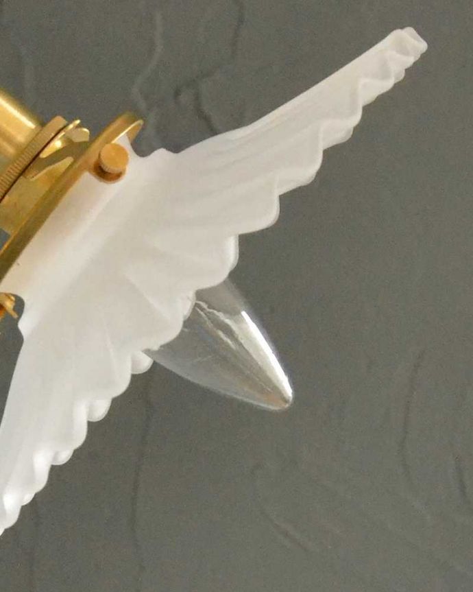 ウォールランプのシェード