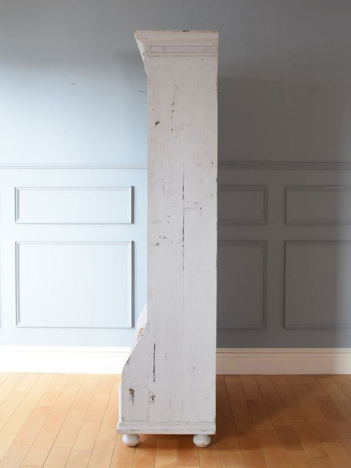 シェルフの横顔