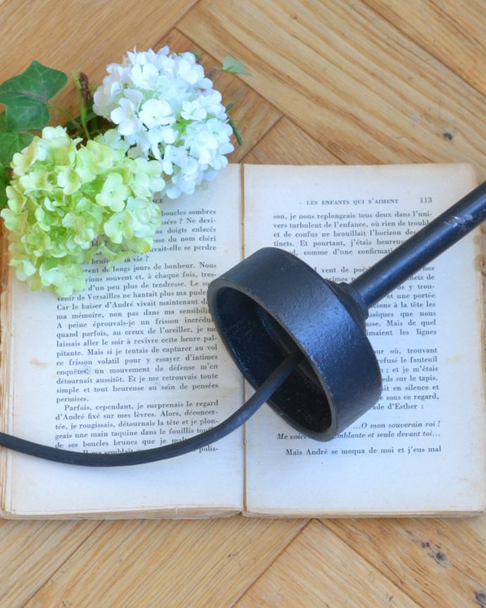 直結タイプでお届けします