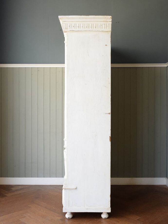 横から見た姿もステキ