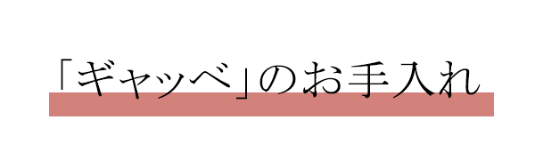 「サブタイトル01ギャッベのお手入れ」