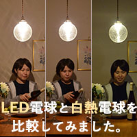 LED電球と白熱電球を比較してみました。