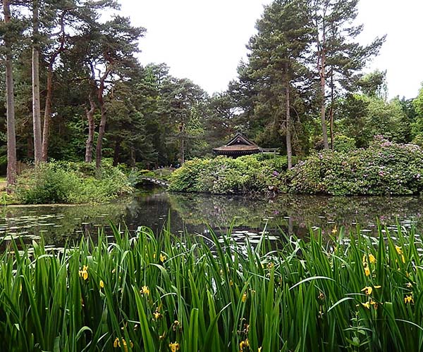タットンパーク　日本庭園