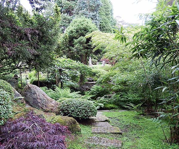 タットンパーク　日本庭園