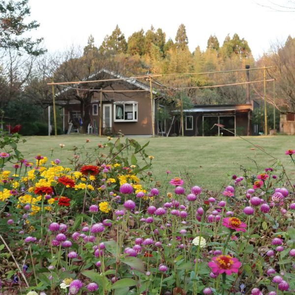 宮崎県の楽園