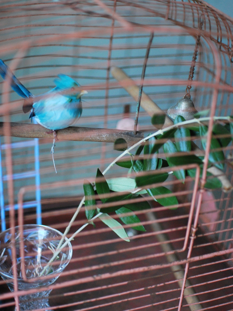 ピンクの鳥かご
