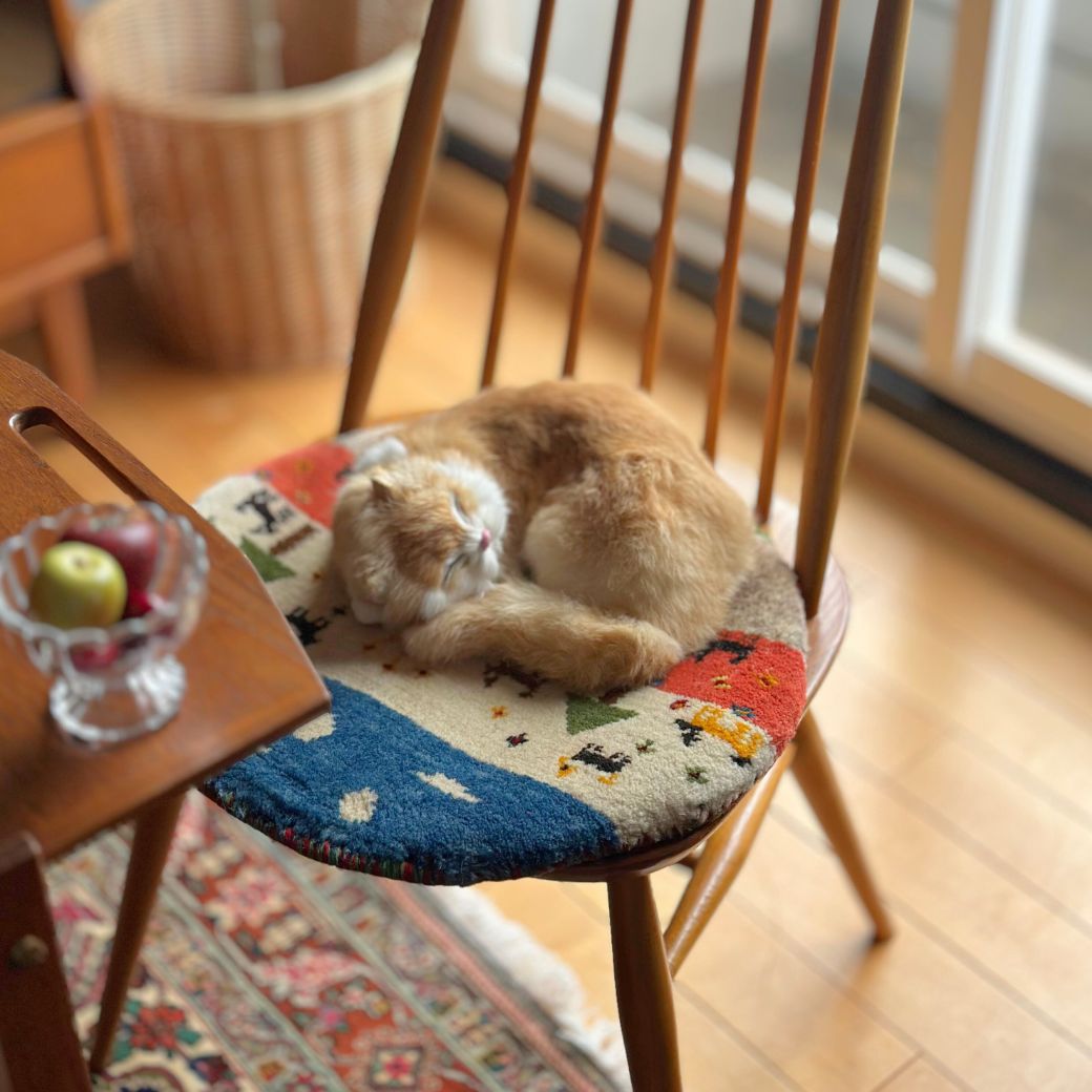 猫もくつろぐ王様のチェア