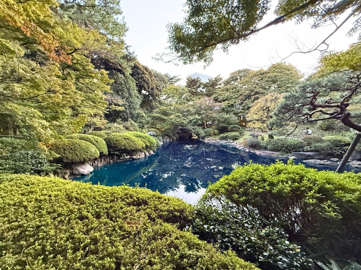 東京都庭園美術館の敷地内に広がる緑豊かな日本庭園と美しい池