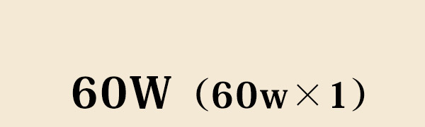 60W（60w×1）
