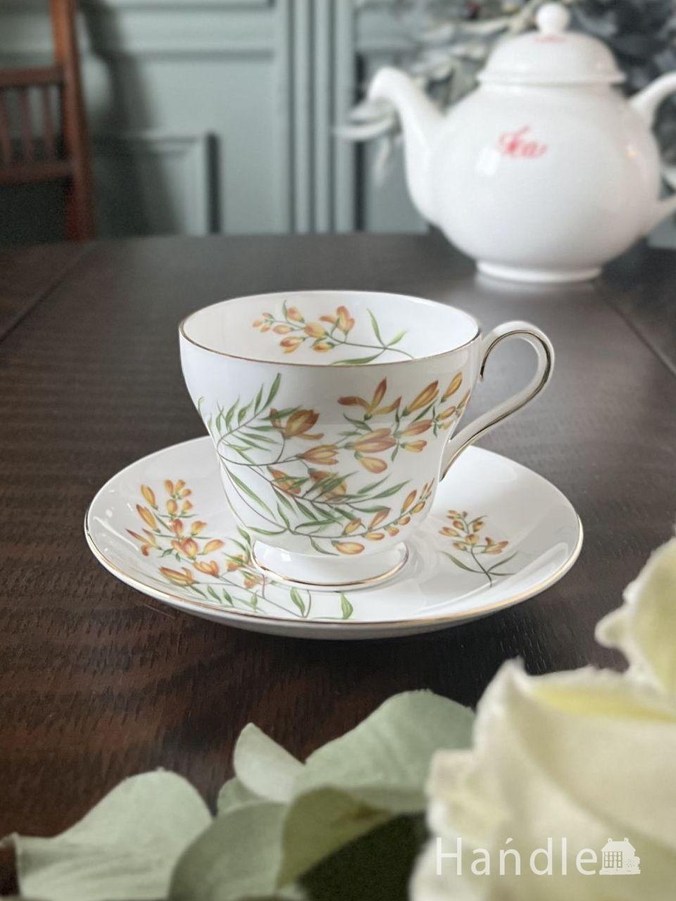 シェリーのアンティークカップ＆ソーサー、エニシダが描かれた英国アンティークのGolden Broom