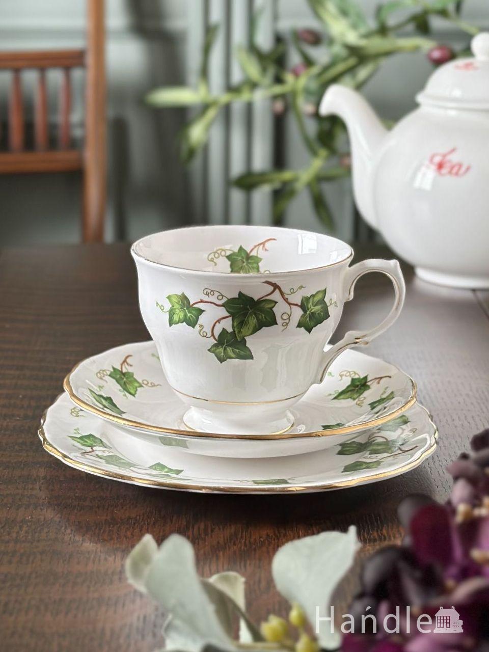 爽やかにアイビーが描かれたアンティーク食器、コルクラフ（Colclough）のカップ＆ソーサー(トリオ)