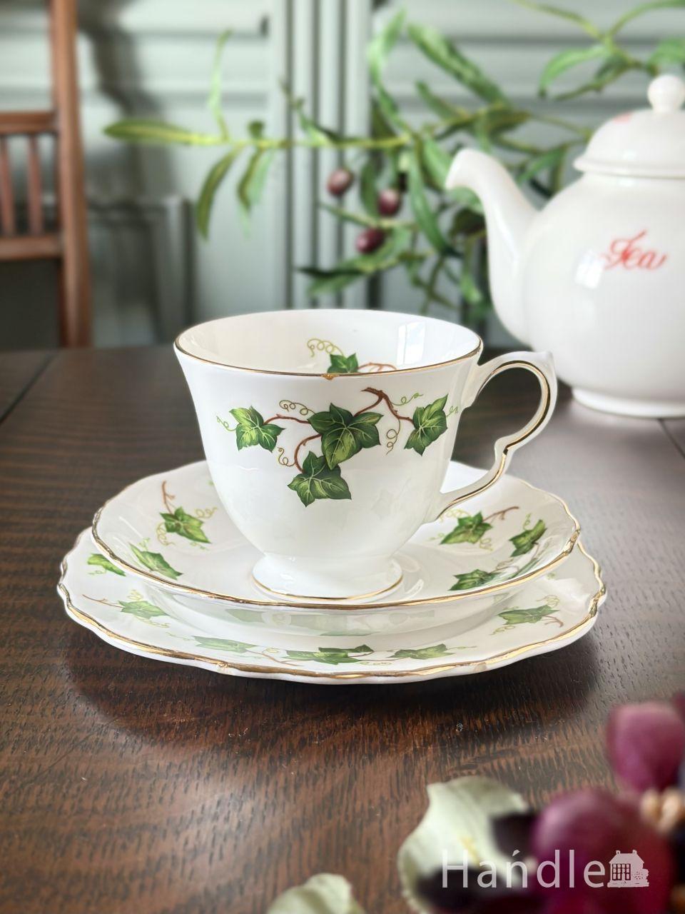爽やかにアイビーが描かれたアンティーク食器、コルクラフ（Colclough）のカップ＆ソーサー(トリオ) (m-10475-z)