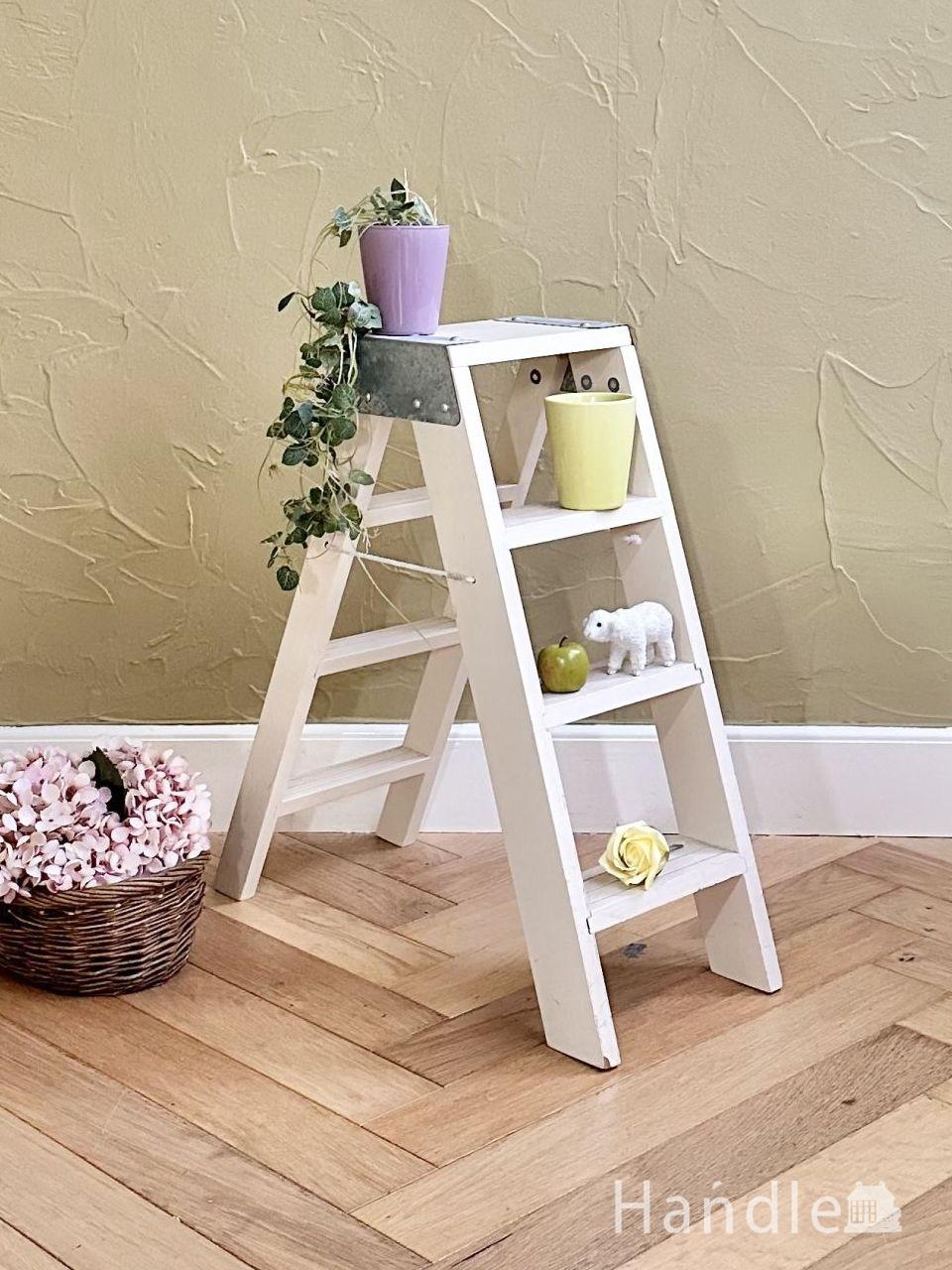 おしゃれなディスプレイ棚、白いペイントの可愛いラダー（ハシゴ） (n18-591)