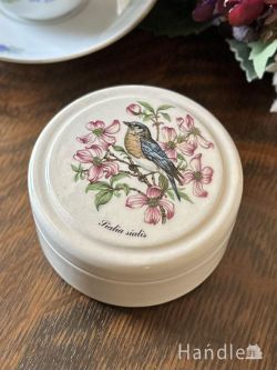 アンティーク雑貨 ジュエリーボックスアンティーク 小鳥とお花が描かれた特別な限定ビンテージポット、ジェントルマンズ・レリッシュ・ポット