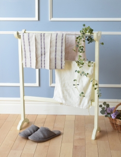 アンティーク家具 その他 アンティーク家具 めずらしいガラスのバーが付いたおしゃれなペイントのアンティークタオルハンガー