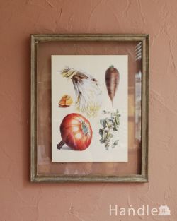 インテリア雑貨 アートポスター・フレーム フランスのおしゃれな雑貨、コントワール・ドゥ・ファミーユのデコフレーム（野菜）　