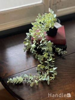 インテリア雑貨 その他インテリア雑貨 ディスプレイにピッタリのフェイクプランツ、おしゃれなディスプレイ雑貨Dischidiaのポット