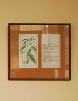 アンティーク雑貨 1930年代のアンティーク 額絵