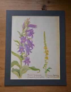 アンティーク雑貨  1940年代のアンティーク 絵画（お花）