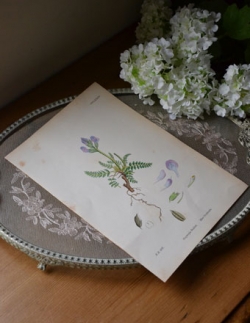 アンティーク雑貨  1940年代のアンティーク 絵画（パープル）