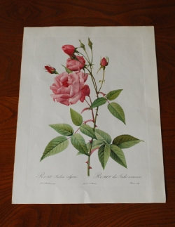 アンティーク雑貨  1940年代のアンティーク 絵画（ピンク）