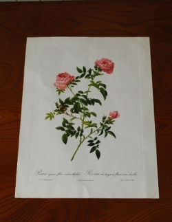 アンティーク雑貨  1940年代のアンティーク 絵画（ピンク）