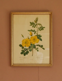 アンティーク雑貨  1940年代のアンティーク 絵画（イエロー）