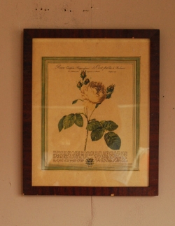 アンティーク雑貨 1940年代のアンティーク 絵画