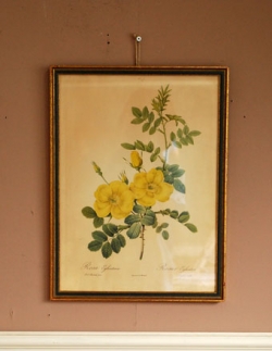 アンティーク雑貨  1940年代のアンティーク 絵画（イエロー）