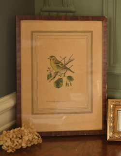 アンティーク雑貨  1940年代のアンティーク 絵画（フレーム付き）