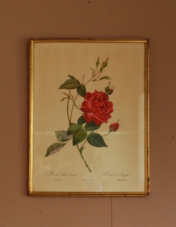 アンティーク雑貨  1940年代のアンティーク 絵画（レッド）