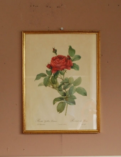アンティーク雑貨  1940年代のアンティーク 絵画（レッド）