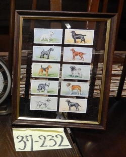 アンティーク雑貨 アンティーク額縁・ポスター アンティーク シガレットカード