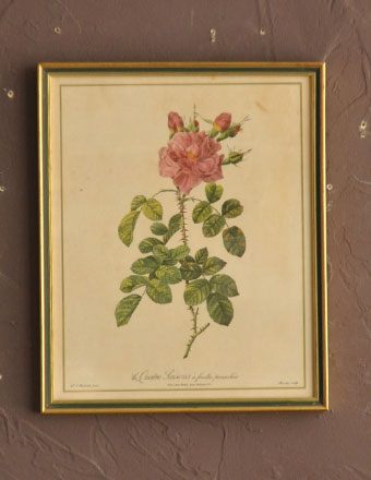 アンティークフレーム ルドゥーテ 「Quatre Taisons feuilles