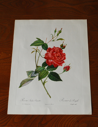 1940年代のアンティーク 絵画（レッド） (m-362-z)