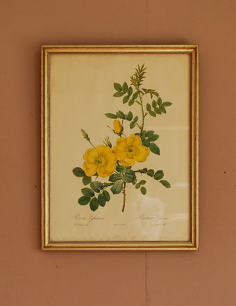 1940年代のアンティーク 絵画（イエロー） (m-376-z)