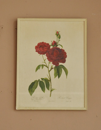 1940年代のアンティーク ルドゥーテ バラフレーム(m-588-z