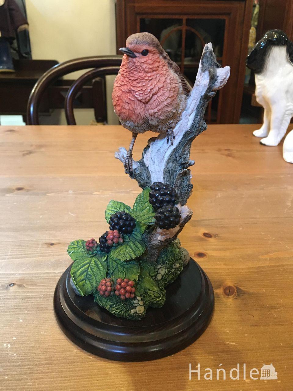Country Artiss Robin with Blackberries (h-1168-z)