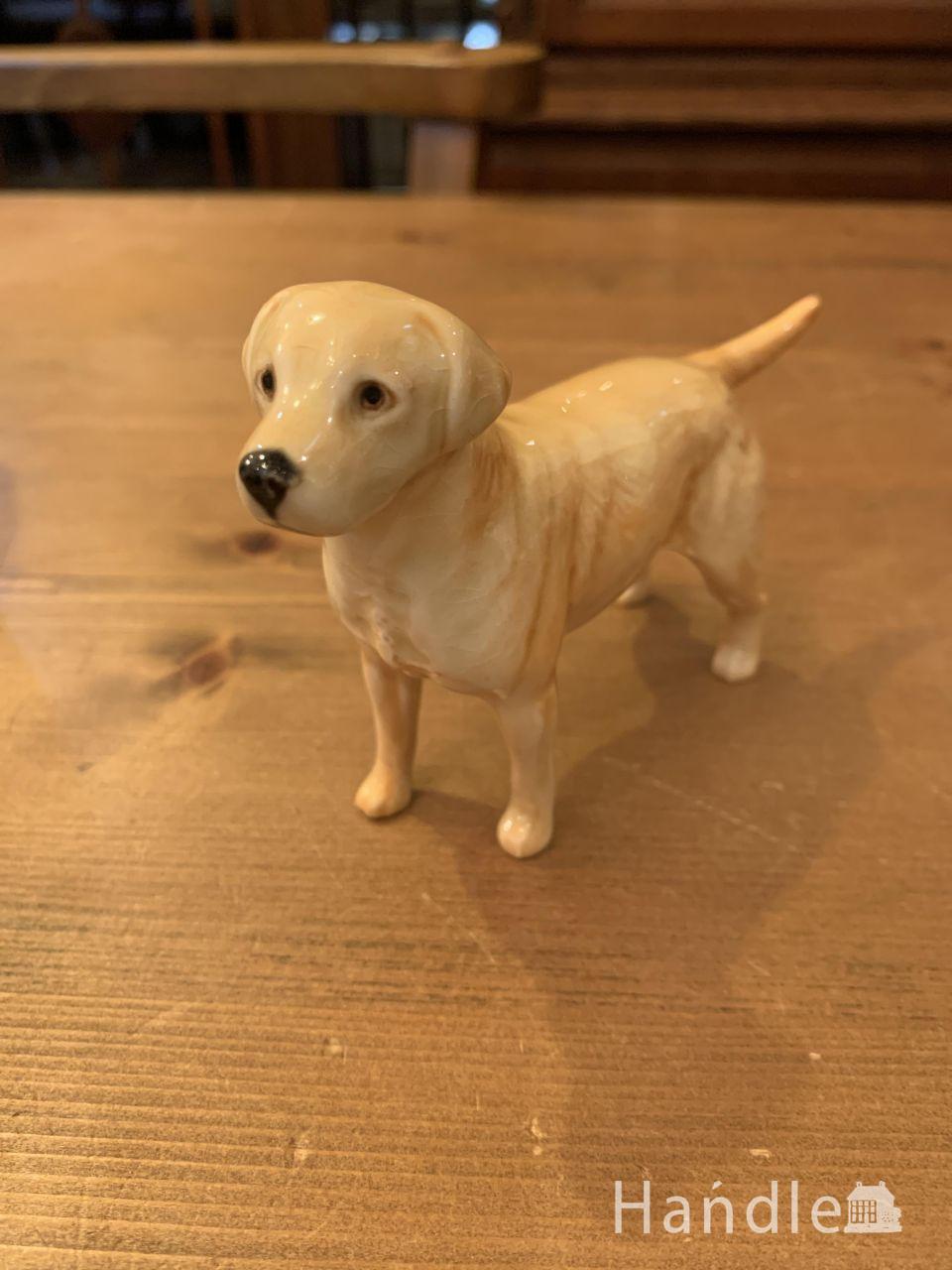 Beswick　rabrador (h-1190-z)