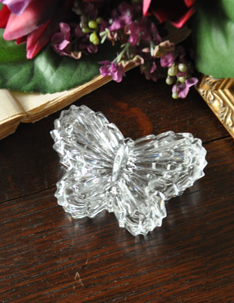 英国のアンティーク雑貨、美しいガラスケース　バタフライプレスドグラス (pg-2463)