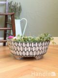 アンティークのプランツポット、フランスから届いた植物用のおしゃれな植木鉢