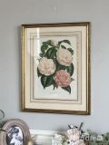 フランスから届いたボタニカルフレーム、ビンテージの「CAMELLIA ROI DES BELGES」 