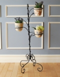 フランスで見つけた、植物を楽しむアンティークプラントスタンド（花台）