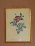 1940年代のアンティーク 絵画（レッド）