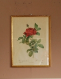 1940年代のアンティーク 絵画（レッド）