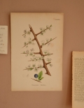 1940年代のアンティーク 絵画（ホワイト）