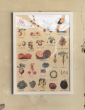 Cavallini社アートフレーム（FRUITS＆VEGETABLES）