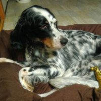 アンティーク雑貨