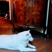 アンティークのキャビネット