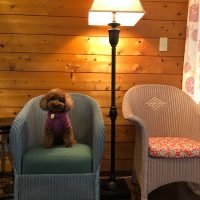 ロイドルームチェア